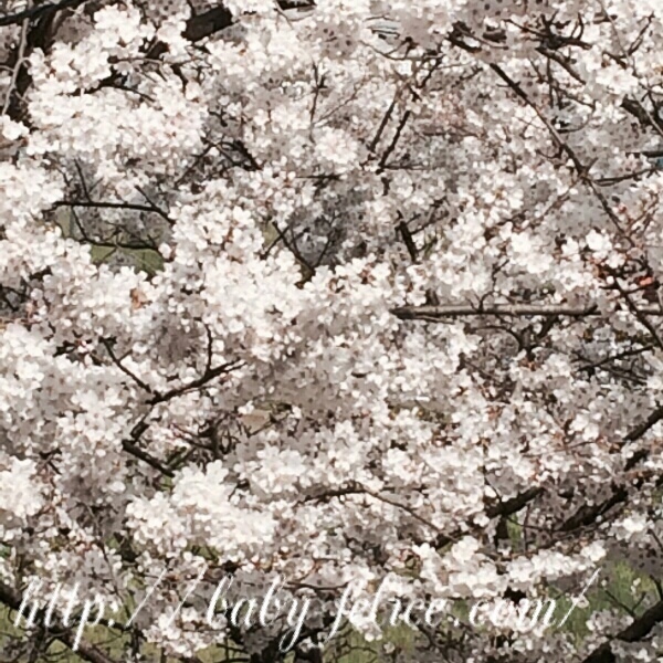 ベビーマッサージ